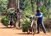 Uganda - Kleingruppenreise Höhepunkte Ugandas